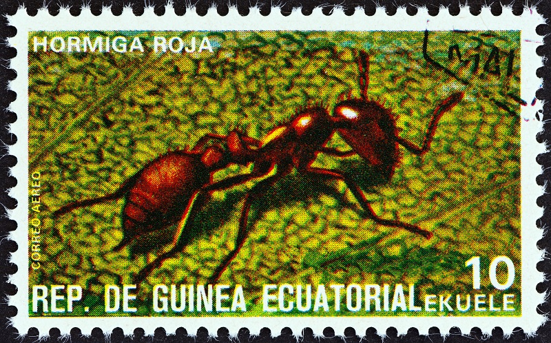 ant-stamp